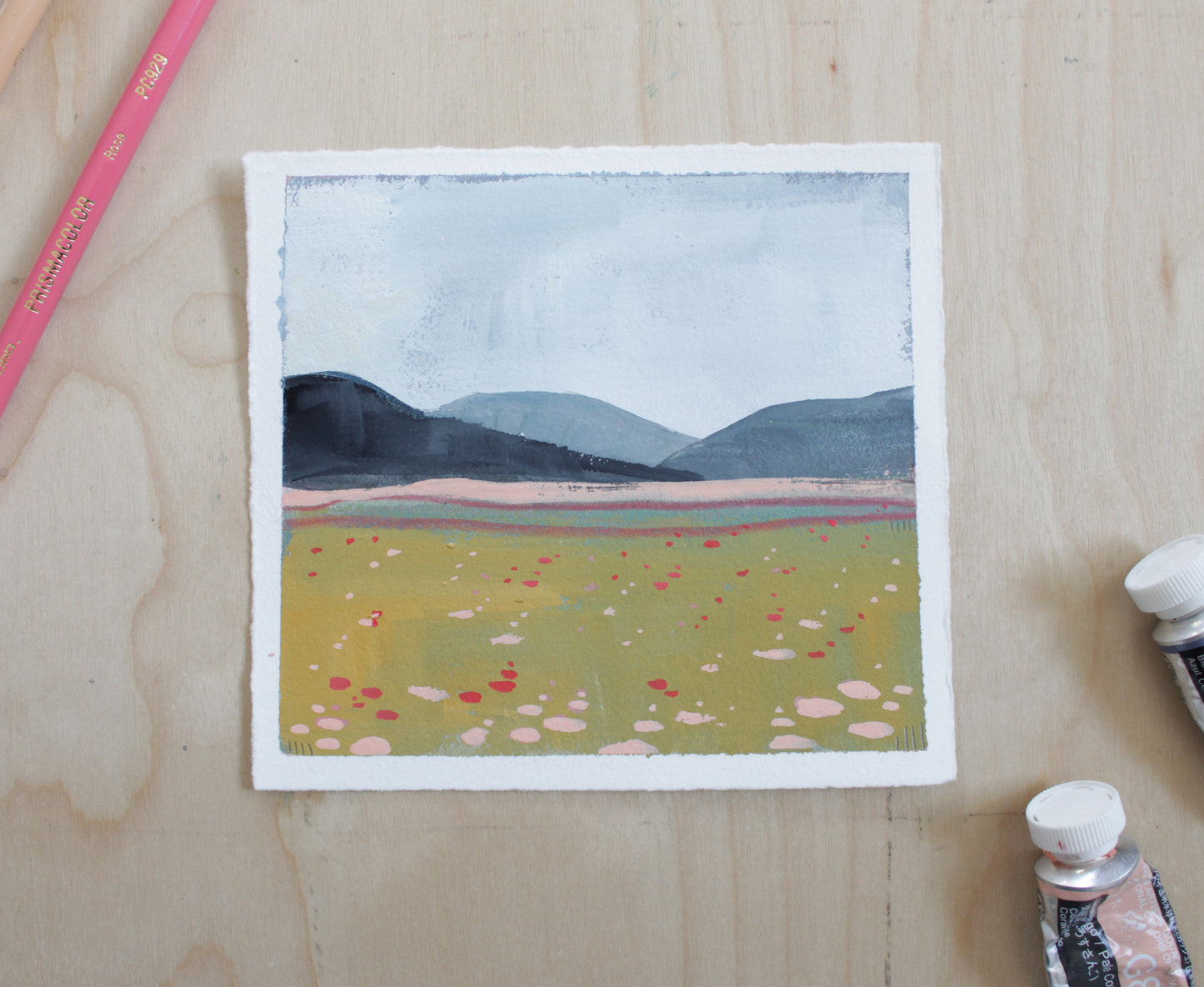 Pink Poppy Fields