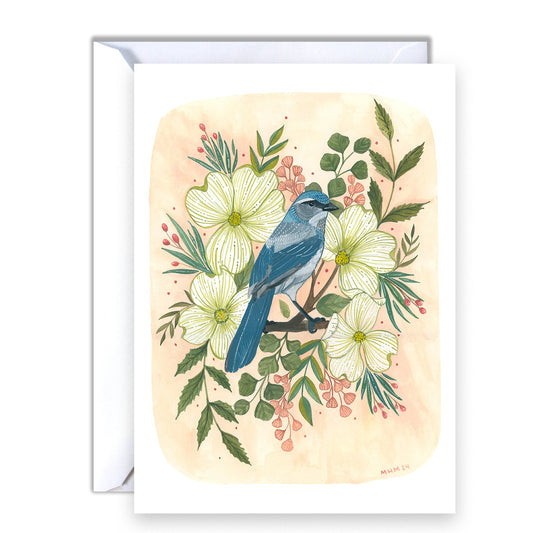 Hand Illustrated Scrub Jay Card - Perfect for Bird Watchers