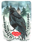 Illustrated Art Print - Crow with Roses 8x10 Print