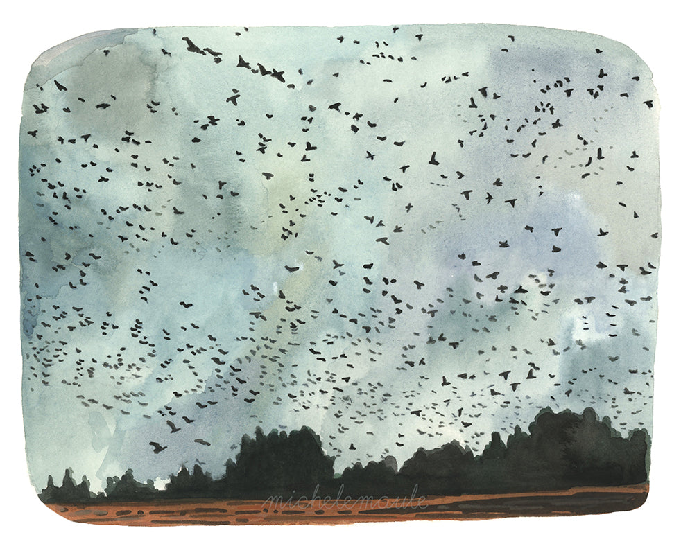Landscape Illustration Print - Sauvie Island Geese 8x10