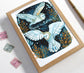 Peace on Earth Greeting Card Set