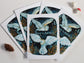 Peace on Earth Greeting Card Set