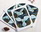 Peace on Earth Greeting Card Set