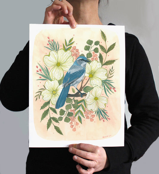Print of a scrub jay surrounded by dogwood blossoms