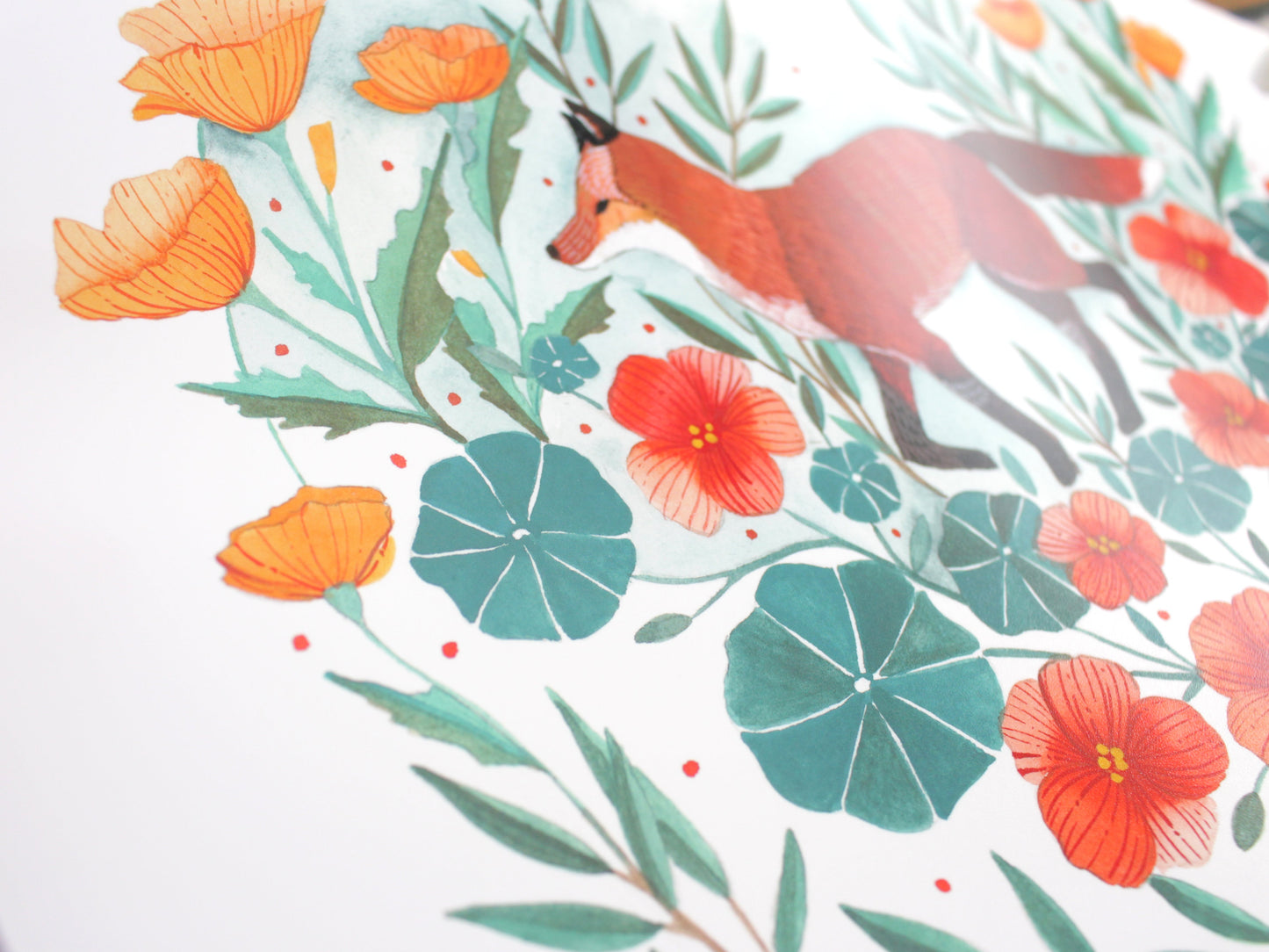 Red Fox Illustration Art Print with California Poppies and Nasturtium 11x14"