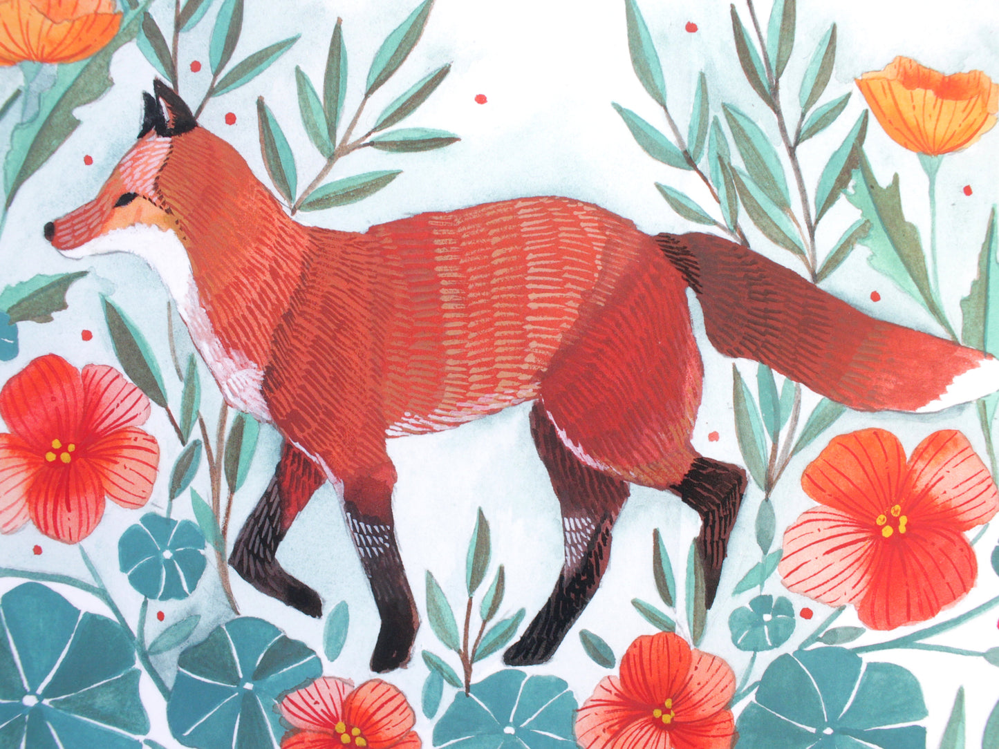 Red Fox Illustration Art Print with California Poppies and Nasturtium 11x14"