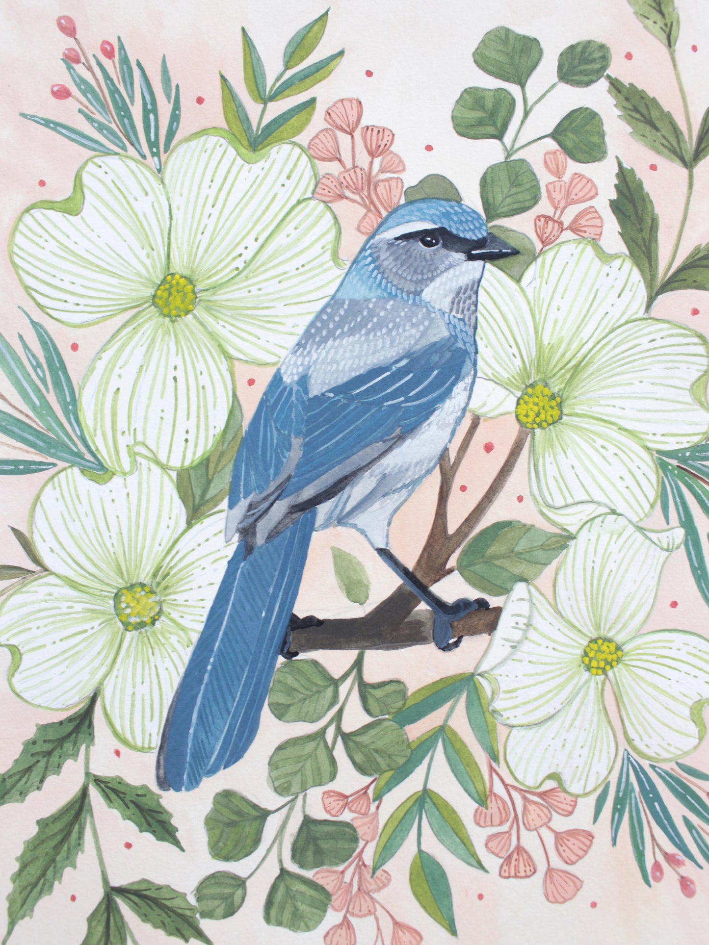 Original Painting - Spring Scrub Jay with Blossoms