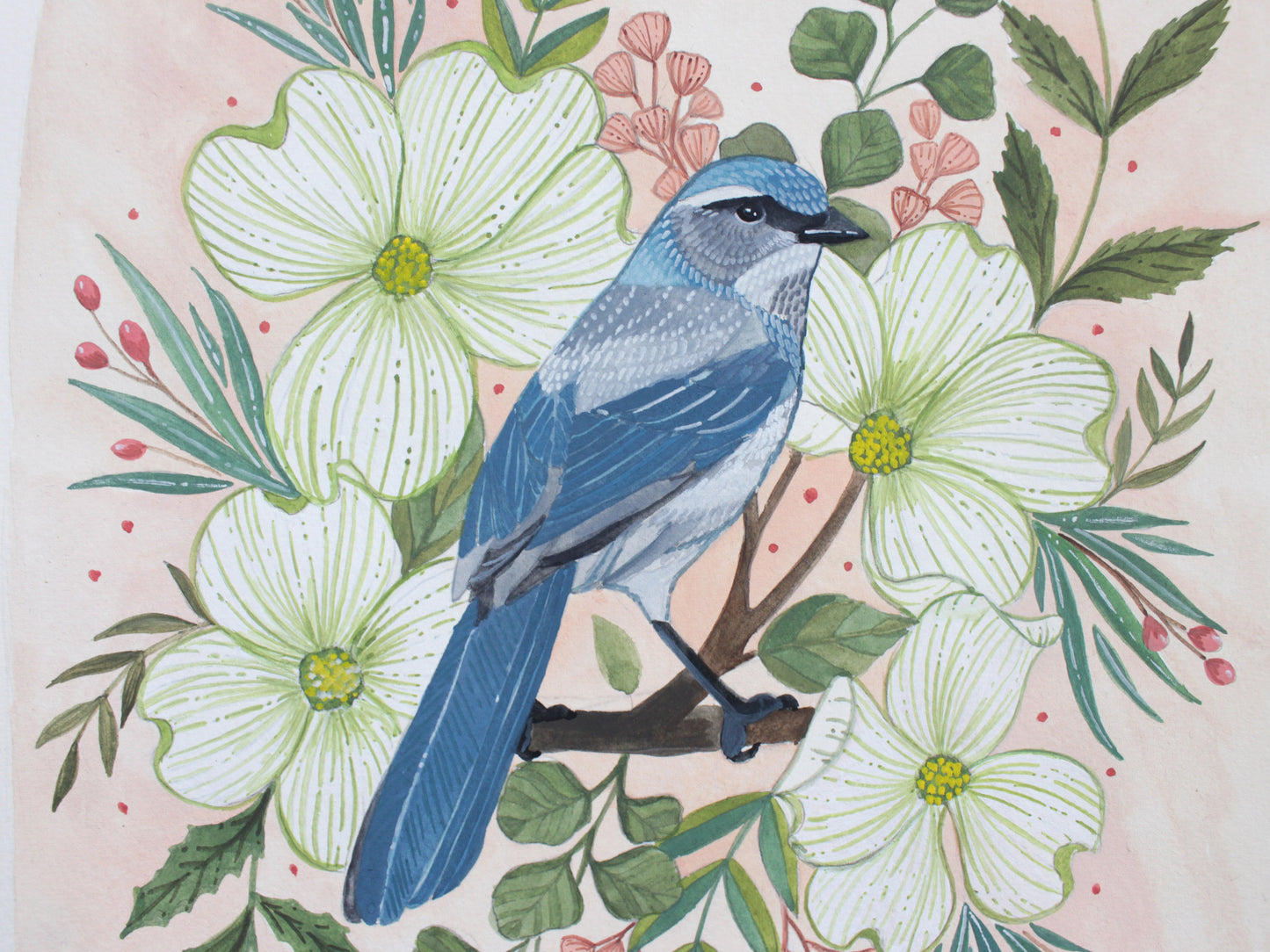 Original Painting - Spring Scrub Jay with Blossoms