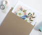 Springtime Blooms - Scrub Jay with Dogwood Blossoms Drawing - 8x10 Wall Decor Print