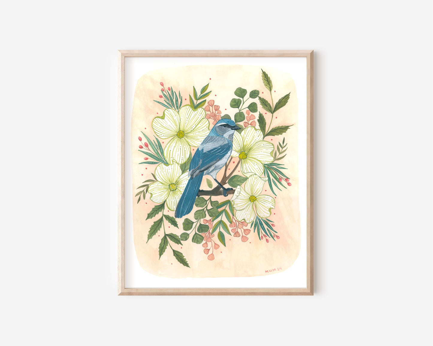 Garden Bird Art - 11x14 Scrub Jay with Dogwood Blossoms Illustration Print for Nature Lovers