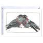 Card with illustration of two birds and a red heart on a white background
